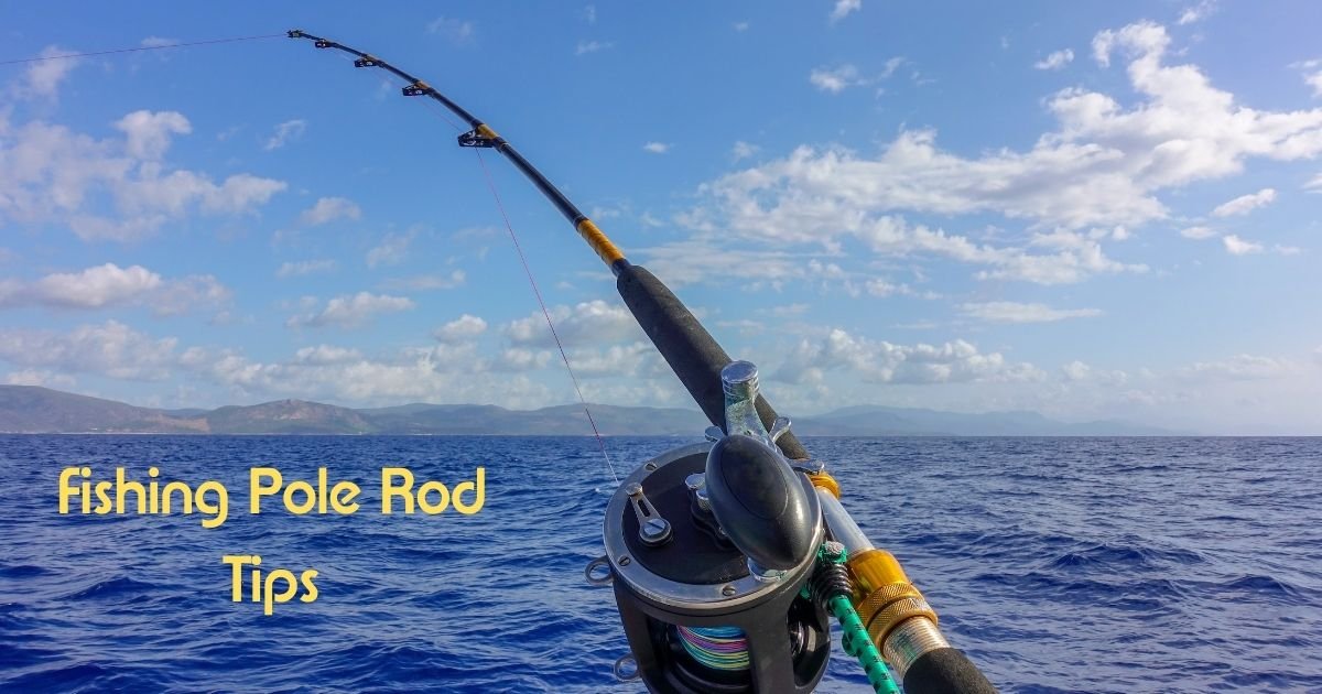 Fishing Pole Rod Tips