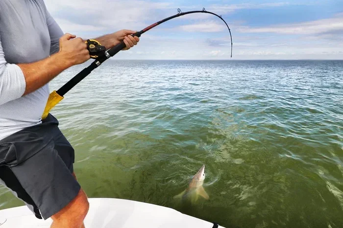 Essential Saltwater Fishing Tips for Bigger and Better Catches