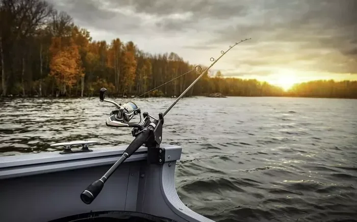 Ultimate Fishing Guide for Beginners to Catch More Fish