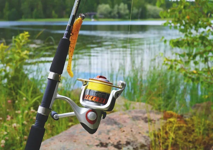 Ultimate Fishing Guide for Beginners to Catch More Fish