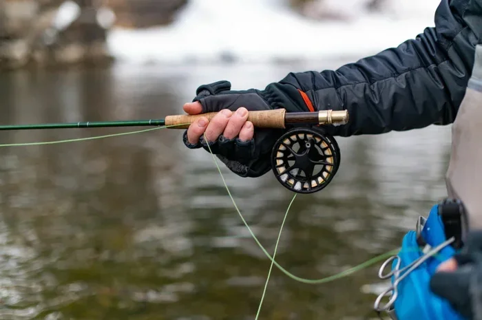 Ultimate Fishing Guide for Beginners to Catch More Fish