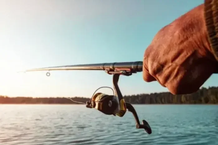 What Is the Long End of a Fishing Rod Beginners Guide Explained