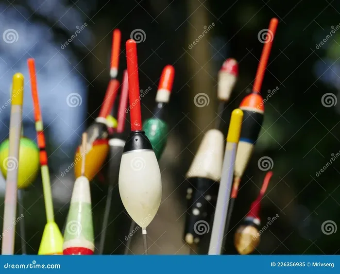 What Are Bobbers Used for in Fishing? Beginner’s Guide (2026)