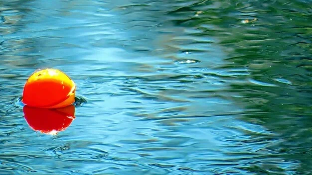 What Are Bobbers Used for in Fishing? Beginner’s Guide (2026)