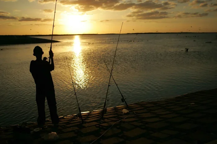 How Do Fishing Nets Work