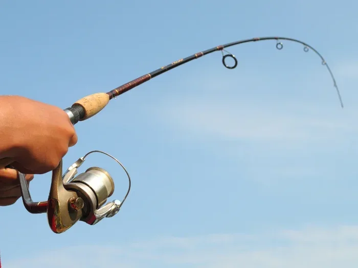 What Does Action Mean on a Fishing Rod Beginners Guide