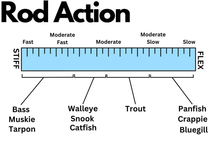 What Does Action Mean on a Fishing Rod Beginners Guide