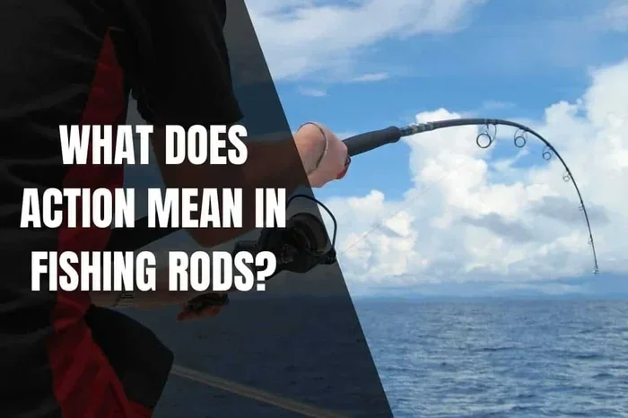 What Does Action Mean on a Fishing Rod Beginners Guide