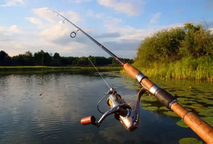 Are Telescopic Fishing Rods Good? Pros Every Angler Should Know