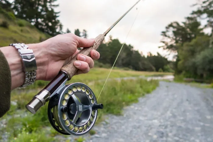 How to Set Up a Fishing Rod for Trout: Proven Setup for More Catches