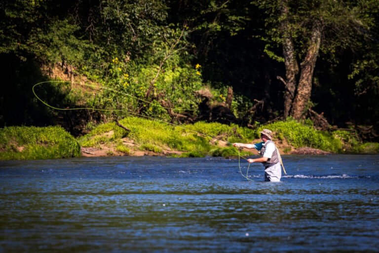 How Many Fishing Rods Per Person In Arkansas