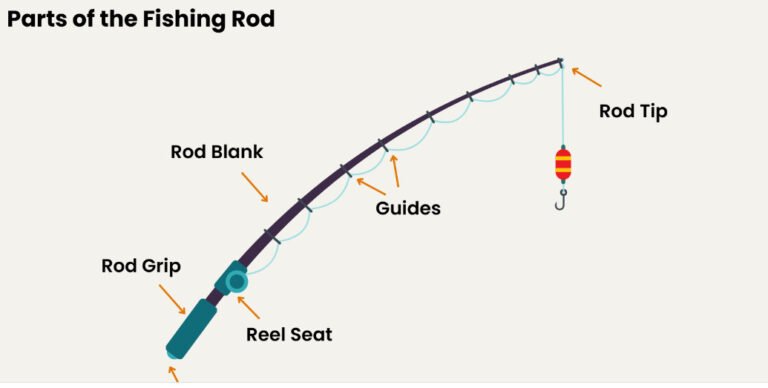 How To Set Up A Fishing Rod For Beginners