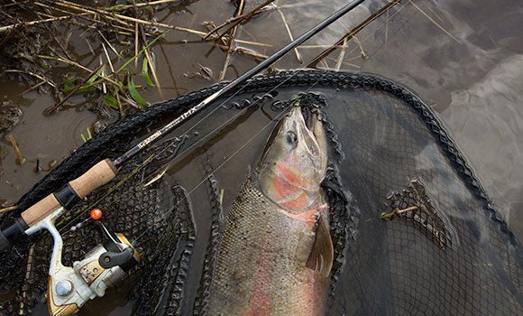How To Set Up Fish Rod