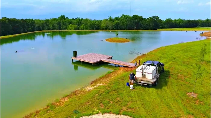 A Complete Guide on How to Make a Fishing Pond