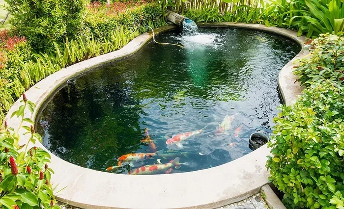 A Complete Guide on How to Make a Fishing Pond