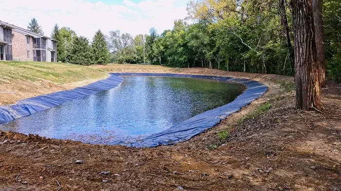 A Complete Guide on How to Make a Fishing Pond