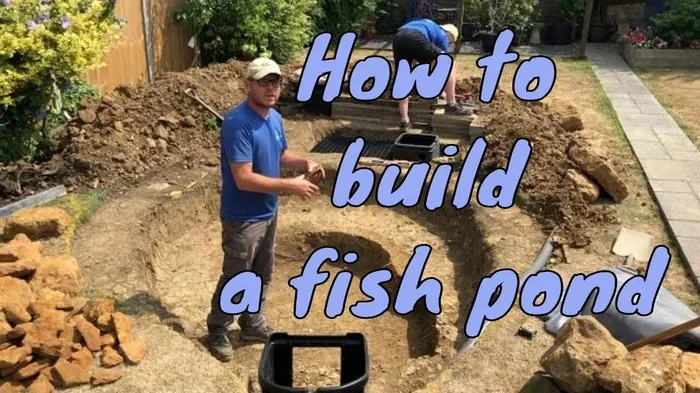 A Complete Guide on How to Make a Fishing Pond