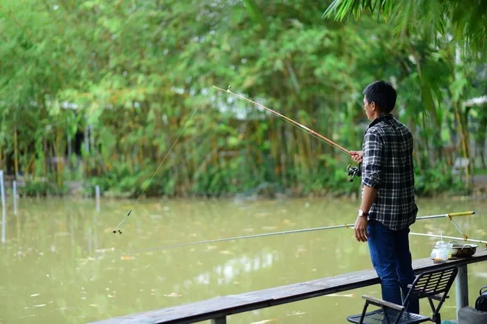 How to Make a Fishing Rod from a Stick Like a Pro