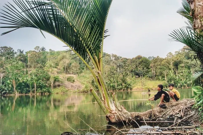 How to Make a Fishing Rod from a Stick Like a Pro