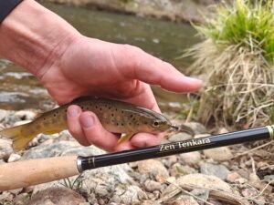 What Length Fishing Rod Should I Get