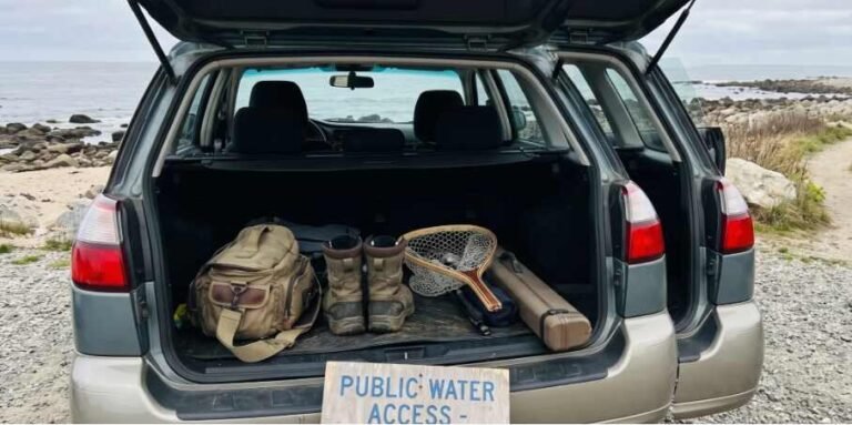 Shore Fishing Tips to Catch More Fish From Land