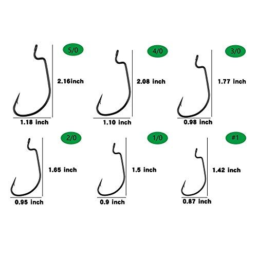 Best Hook For Plastic Worm Fishing