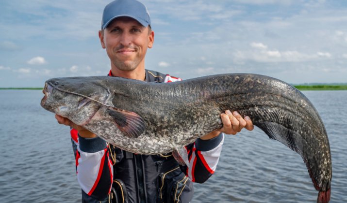How To Go Catfish Fishing