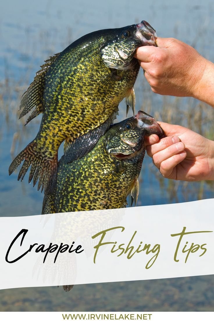 How To Catch Crappie For Beginners
