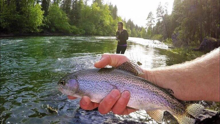 How To Fish For Trout In A River